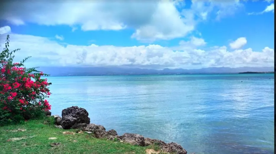 Studio Anoli Apartment Le Gosier  0*, Le Gosier (Grande-Terre) Guadeloupe