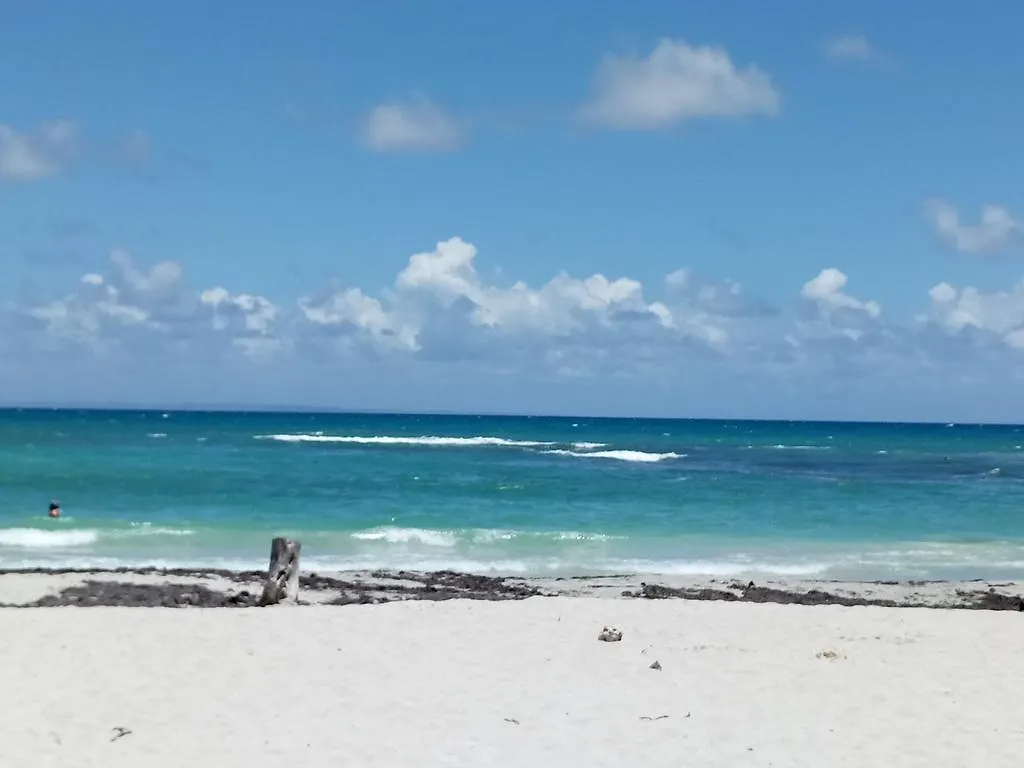 Studio Anoli Apartment Le Gosier  Guadeloupe