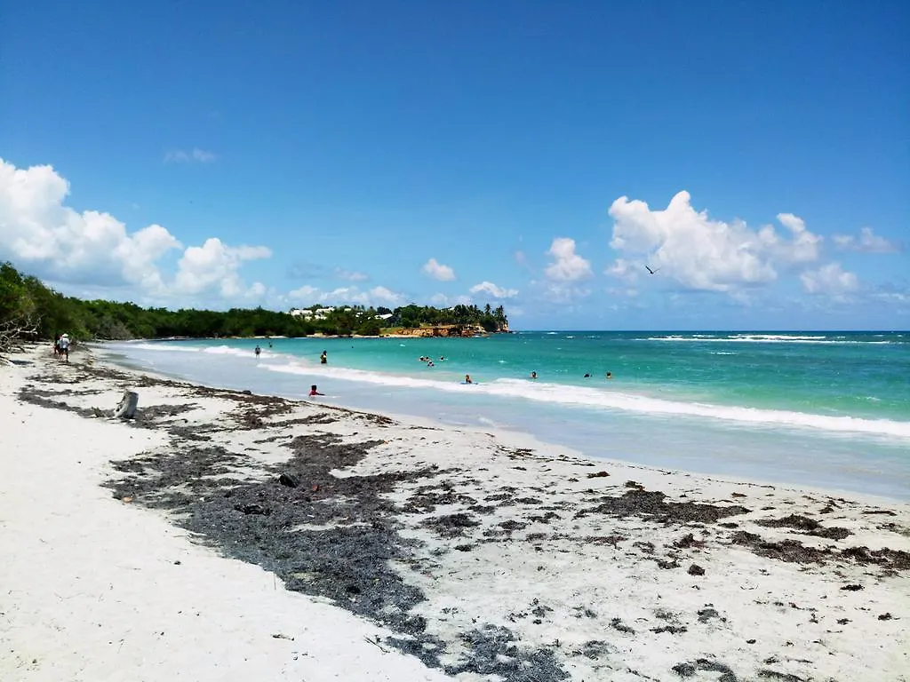 Studio Anoli Apartment Le Gosier  0*, Le Gosier (Grande-Terre) Guadeloupe